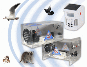 ultrasonic bird repellers