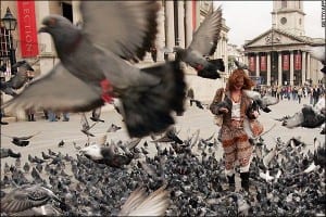 pigeon problem