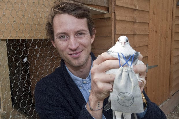 New Study Finds Unexpected Connection Between Pigeon Feather Patterns And Human Blindness