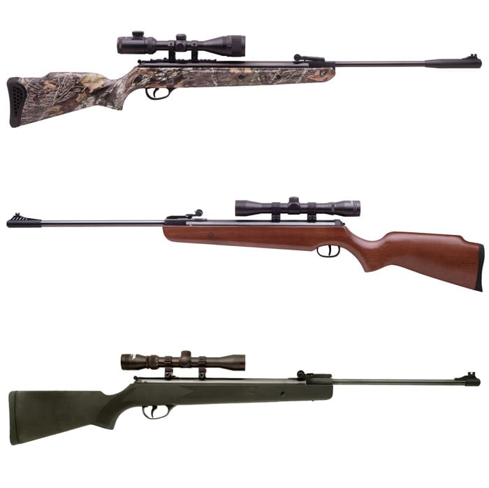 Time to put an end to pigeon shoots Pigeon Patrol Canada Bird