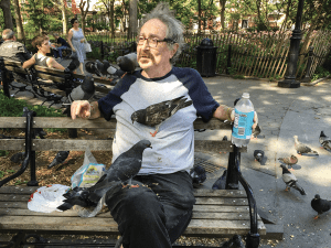 Bizarre moment man feeds his pet pigeons from his mouth in India