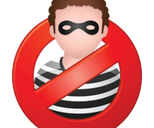 Inter-state burglar held, items worth Rs 8L seized
