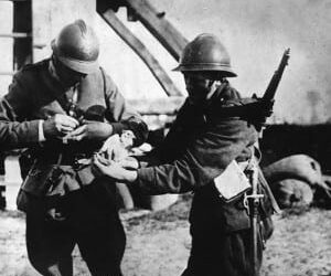 When pigeons pitched in for the cause