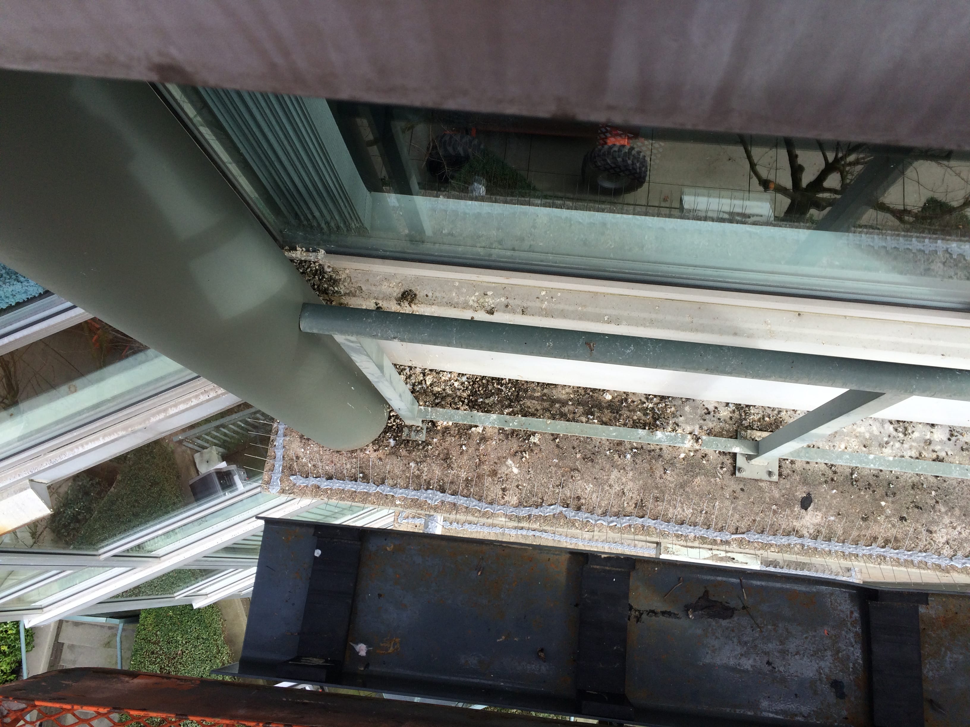 Bird droppings on a window ledge