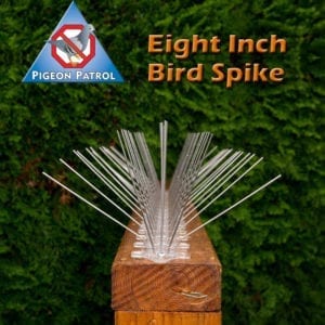 ultra-flex bird spikes