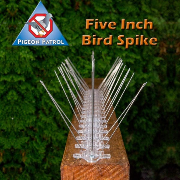 ultra-flex bird spikes
