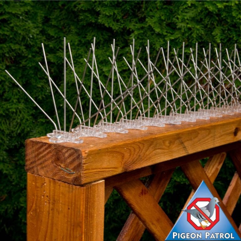 UltraFlex Bird Spikes 8" Spread Pigeon Patrol Products & Services