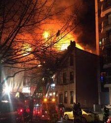 ‘They were my whole life’ – 110 beloved racing pigeons burned alive as loft goes up in flames