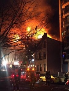 ‘They were my whole life’ – 110 beloved racing pigeons burned alive as loft goes up in flames