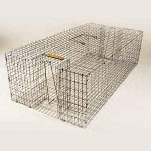 Pigeon-Trapping-Cage