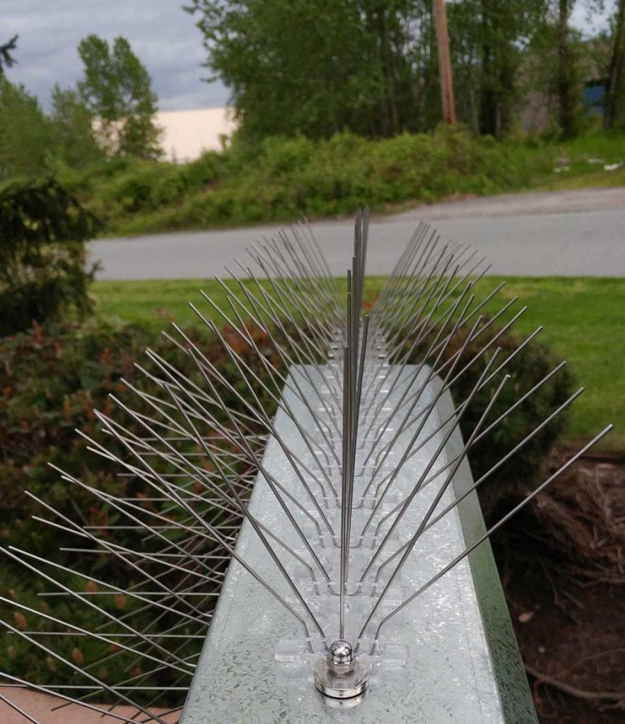 UltraFlex Bird Spike Kit Pigeon Patrol Canada Bird