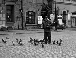 man with pigeons man with pigeons