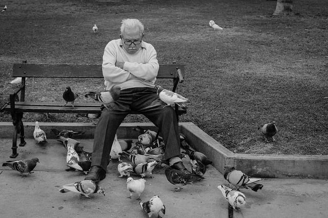 Primary groups and cosmopolitan ties: The rooftop pigeon flyers of New York City