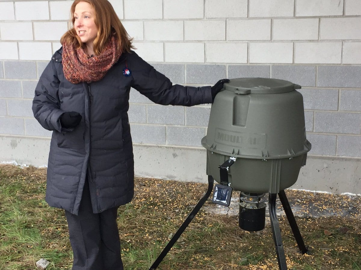 Bird birth control? B.C's latest plan in tackling the pigeon problems