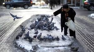 Pigeons being fed an individual leaving behind a mess of food scraps and droppings. 