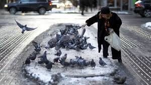 Pigeons being fed an individual leaving behind a mess of food scraps and droppings.