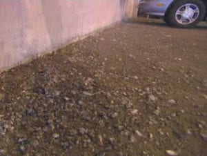 CTA Orders Cleaning of Garage Covered in Pigeon Poop