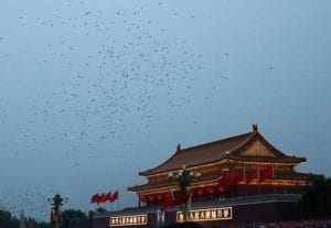 Birds flying over Beijing China