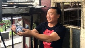 Inside the fascinating and sometimes brutal world of pigeon racing in China