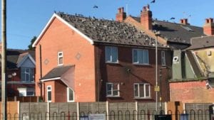 large flock of pigeons perched upon a derelict house, causing issues and health hazards