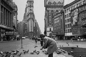 man feeds pigeons in times square