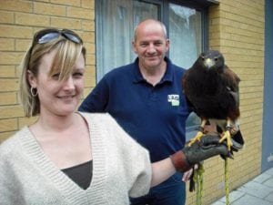 A hawk perched on a woman's handlers hand. They are used to deter pigeons from certain areas