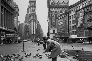 pigeon feeding war