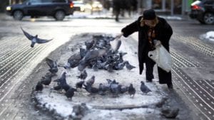 women feeding pigeons