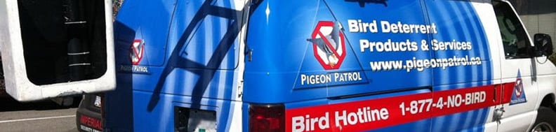 Pigeon-Deterrent-and-Removal-Services Pigeon-Deterrent-and-Removal-Services