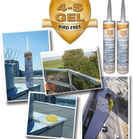 bird-deterrent-gel-2