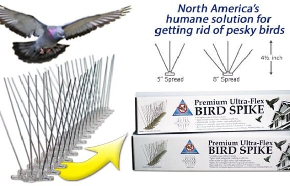 bird-spikes-1 bird-spikes-1