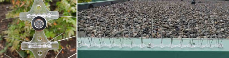magnetic-spike-footer magnetic-spike-footer