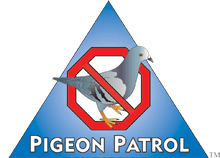 pigeon-patrol-canada-bird-spikes