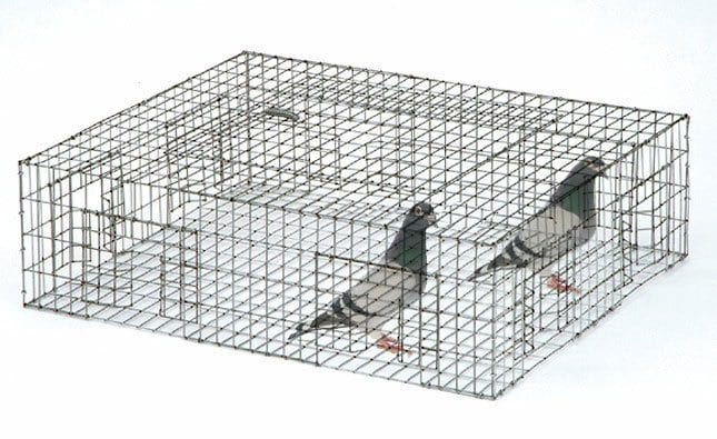 trap-cage