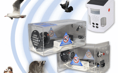 The Deal With UltraSonic Pest Repellers?