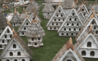 What Are Dovecotes?