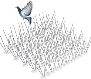 pigeon spikes