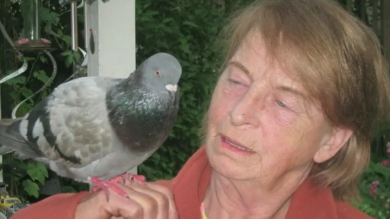 Vancouver Island woman reunited with pet pigeon
