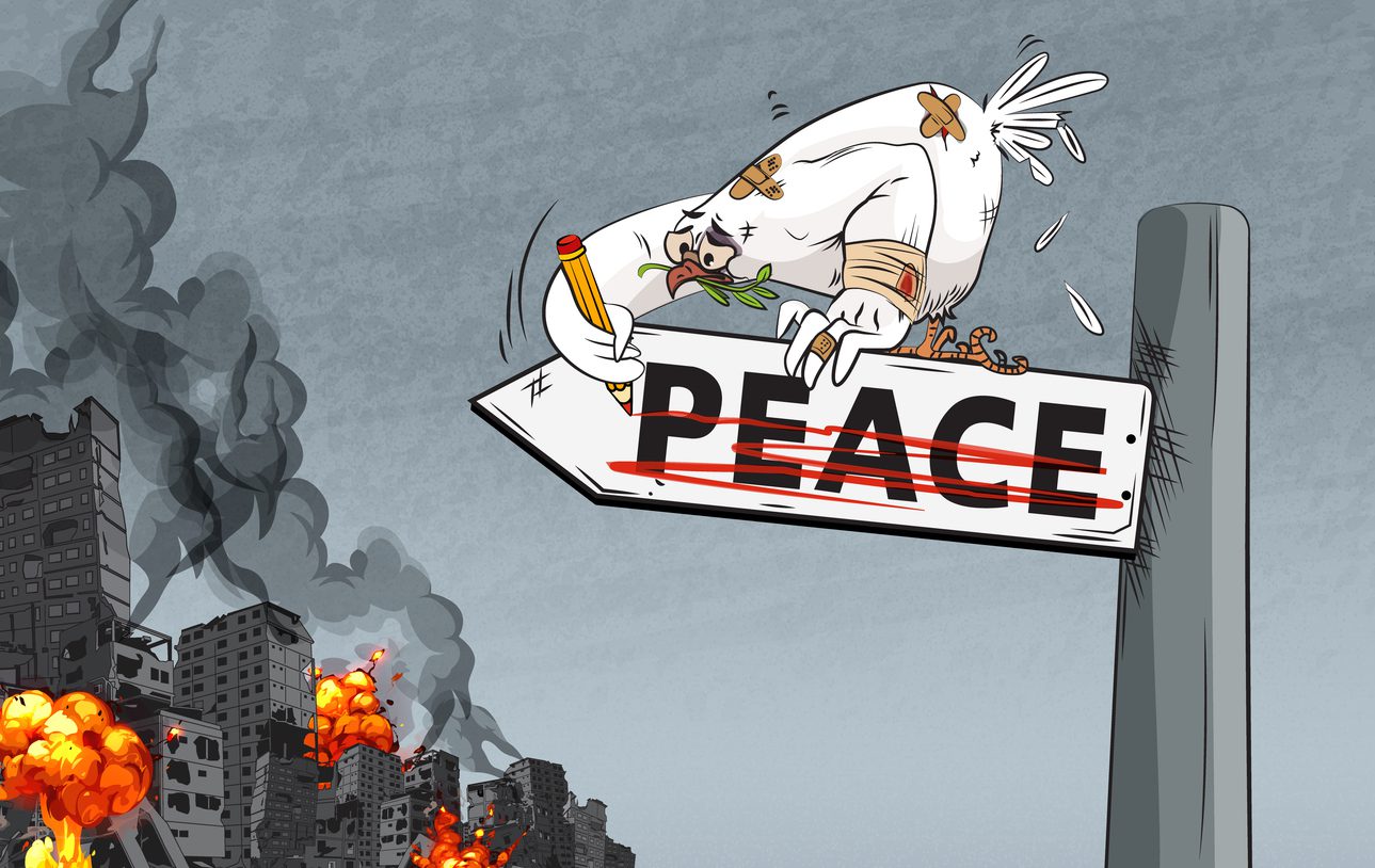 Boca Raton pigeon problem is a mess - Pigeon Patrol Canada - Bird ...