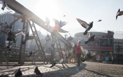 “Historic Landmark Defaced by Persistent Pigeon Problem”