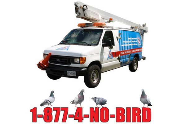 Bird spike installation on commercial signage in Surrey