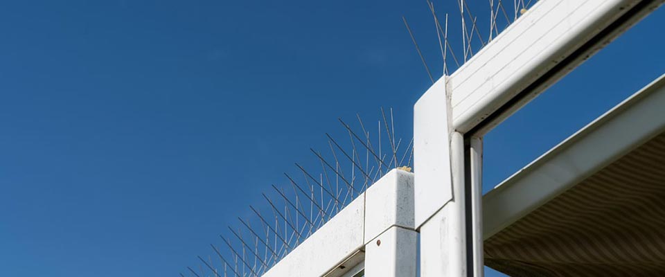 Pigeon deterrent installed on Vancouver condo balcony