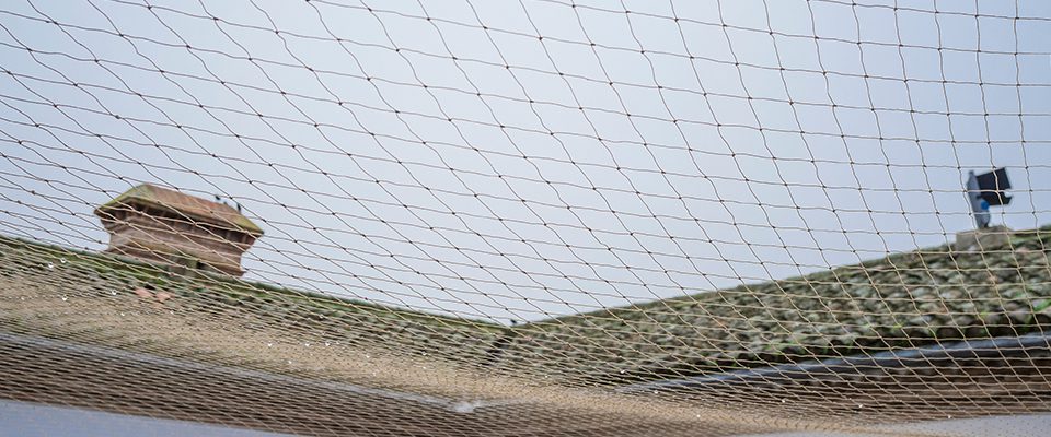 Pigeon netting on Langley warehouse entrance