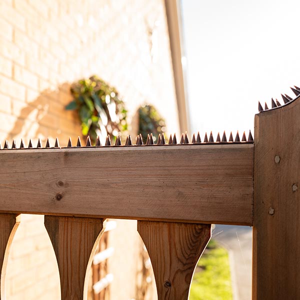 fence-spikes-installation-services