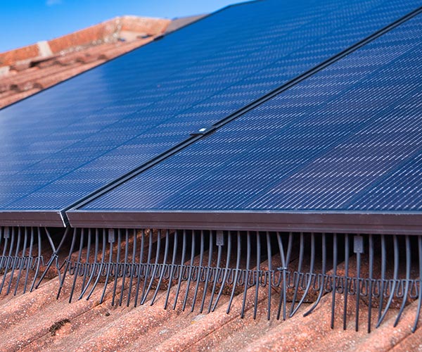 Solar panel bird netting installed on North Vancouver home