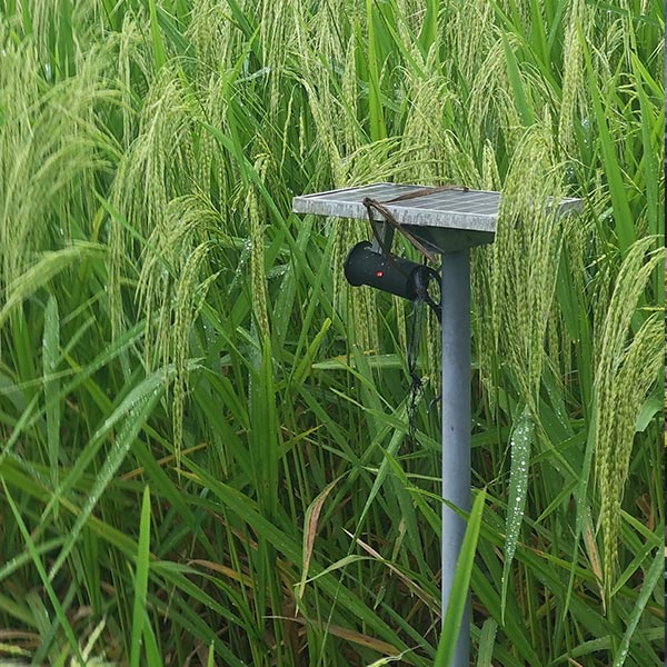 ultrasonic-bird-repeller-services