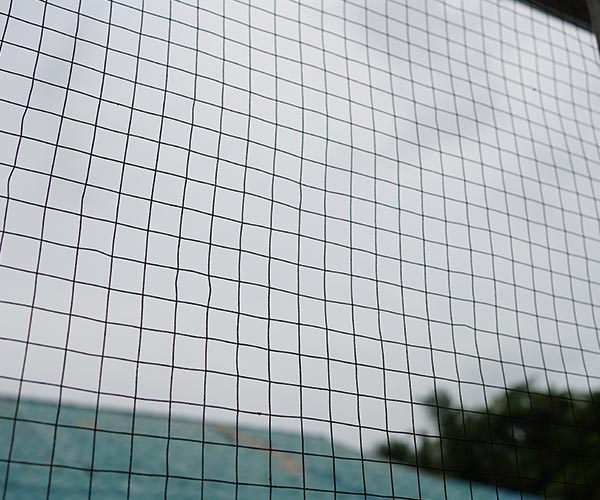 Bird netting installed across condo balcony in South Surrey