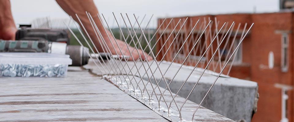 Bird spikes installed along Mission warehouse rooftop