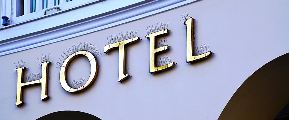 Bird spikes on commercial signage in Guildford