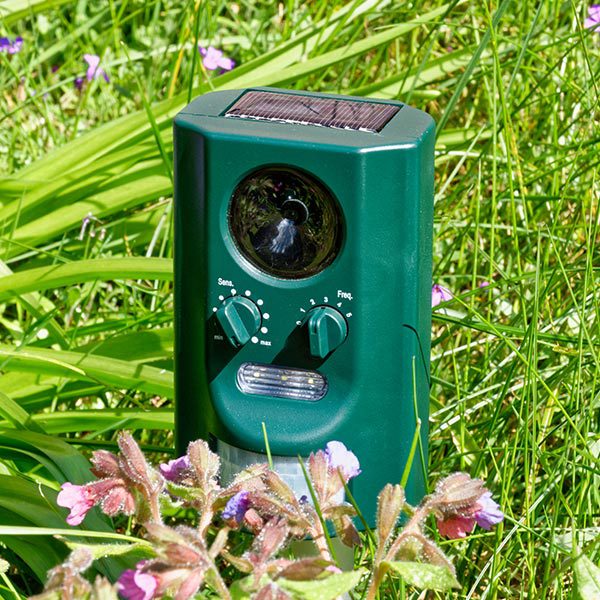 Ultrasonic bird repeller installed in Guildford yard